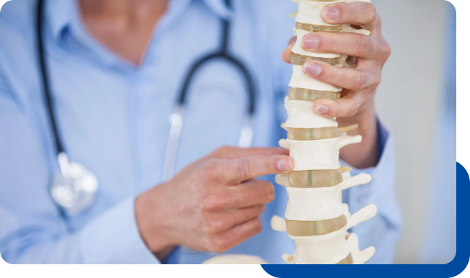 Fairfax Station Chiropractic Commonly Treated Condition