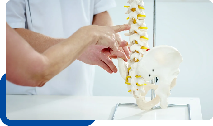 Chiropractic Qualifications