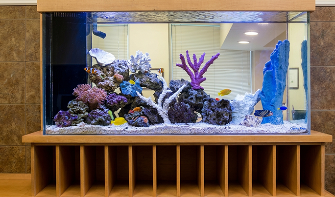 Image Final Thoughts