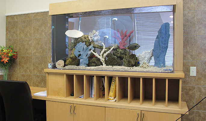 Image Final Thoughts